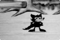 
					
												Mr. Fox