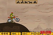 Ninja Turtle Stunts