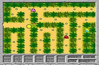 
							Pac's Jungle Adventure cover