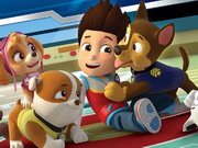
							Paw Patrol Jump cover
