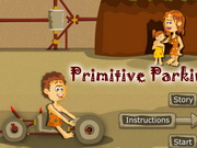 
							Primitive Parking cover