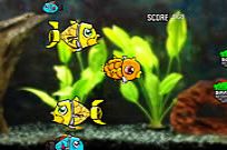 
							Robotic Fishy cover