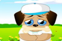 
							Sad Puppy cover