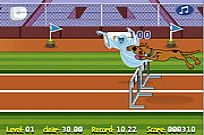 
							Scooby Doo Hurdle Race cover
