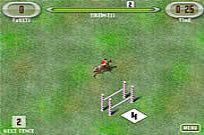 
					
												Show Jumping