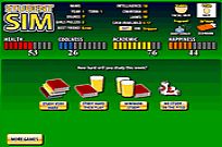 
							Student Sim cover