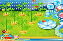 
					
												Sue Tomato Factory