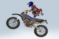 
							Supreme Stunts cover