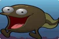 
							Tadpole cover