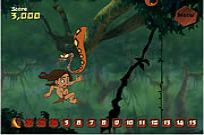 
							Tarzan Swing cover