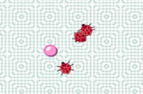 
							The Bugs Are Coming cover