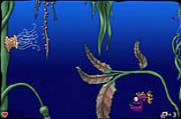 
							The Sea Of Glomp cover