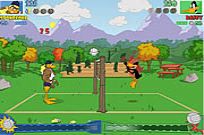 
							Tricky Duck Volleyball cover