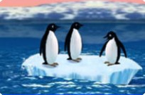 
					
												Turbo Penguins