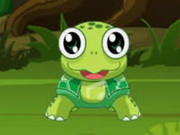 
					
												Turtle Eat Leaf