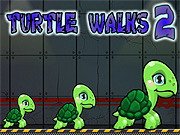 
					
												Turtle Walks 2
