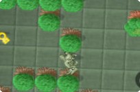 
							Warp Forest cover