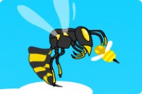 
							Wasp cover