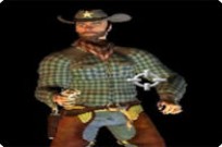 Wild Pistol
