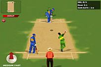 
							World Cricket cover
