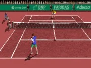 
					
												Davis Cup