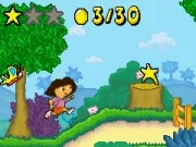 Dora the Explorer : The Search for the Pirate Pig's Trea