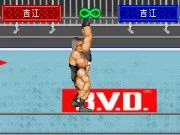 
					
												Shin Nihon Pro Wrestling : Toukon Retsuden Advance