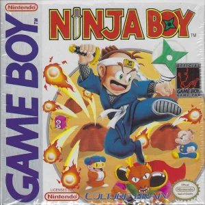 
							Ninja Boy cover