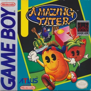 Puzzle Boy II