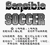 Sensible Soccer - European Champions