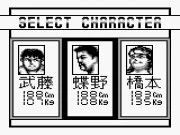 
					
												Shin Nihon Pro Wrestling
