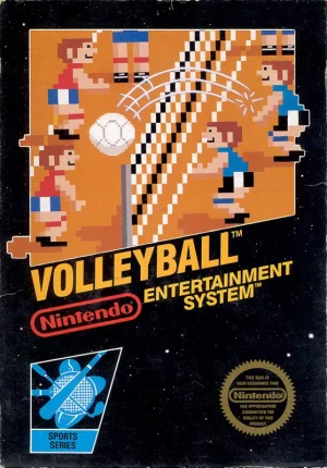 
							Volleyball cover