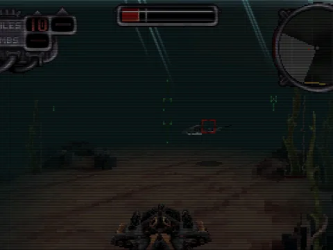 
											Targeting sharks