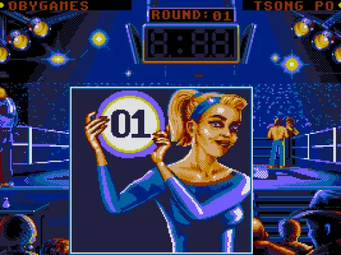 
											The ring girl announces the big fight in the preview match. (VGA)
