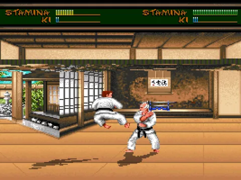 
											Karate Training