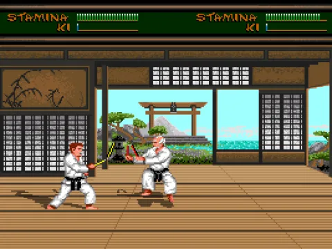 
											Nunchaku Training