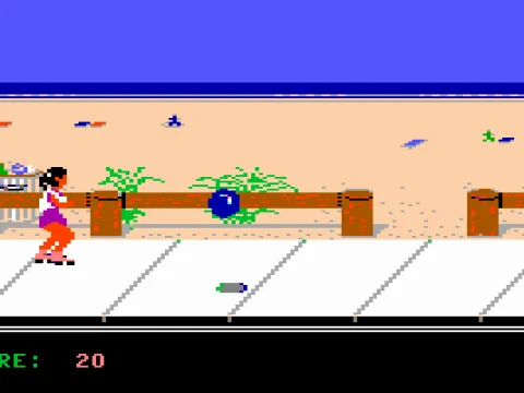 
											Skating (MCGA/VGA)