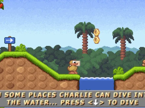 
											Good advice