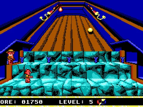 
											Level 5