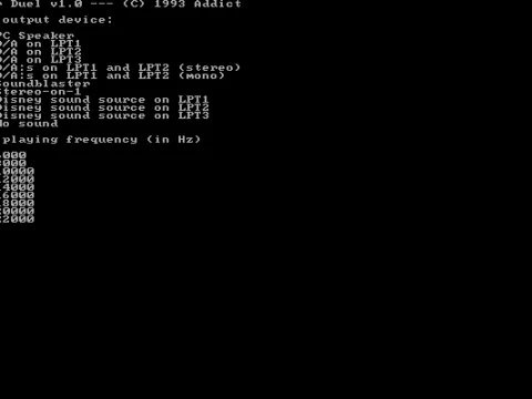 
											When first started the game asks the player for system details in a very compressed font