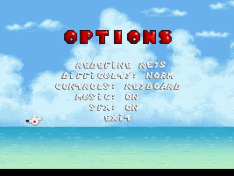 
											Options screen