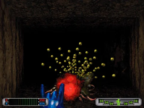 
											Fighting a slugg