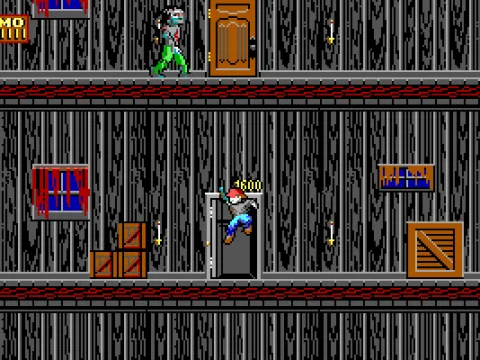 
											You collect various bonus items for score and 1-UPs