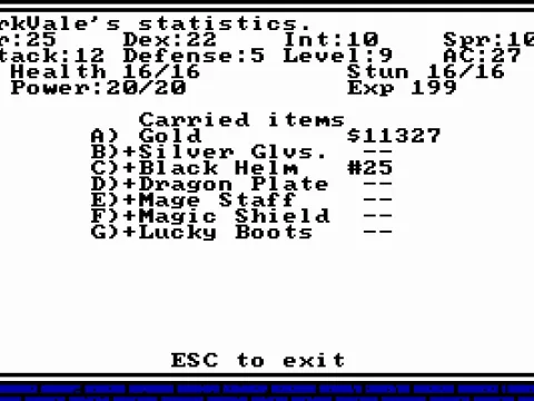 
											Character statistics and inventory