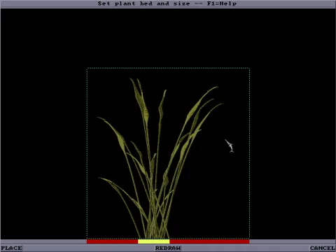 
											Growing a plant