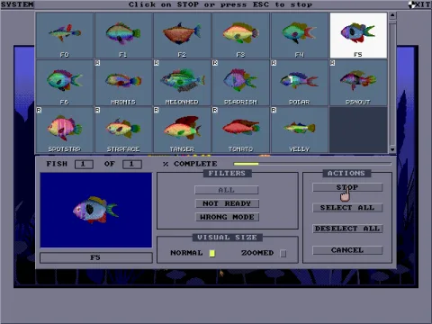 
											Rendering fish