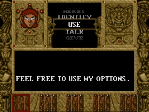 
											Options screen