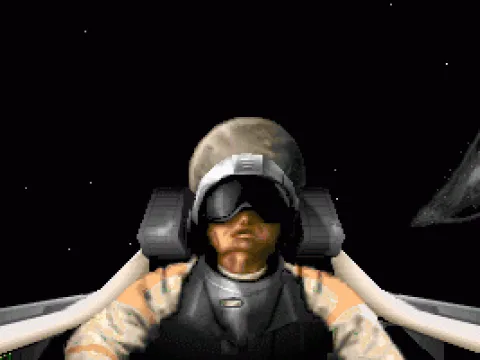 
											The pilot