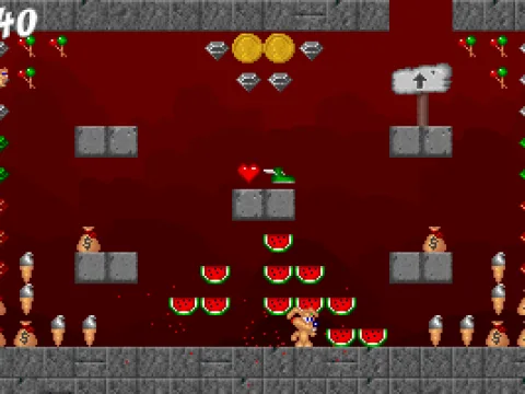 
											Bonus stage (Level 1)