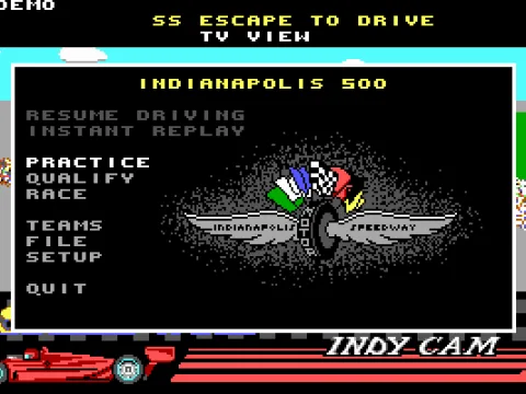 
											The main menu (EGA)